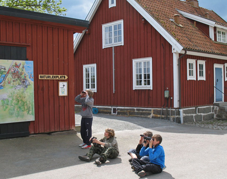 Unga fagelskadare pa eriksbergs gard. FOto: Rune Svensson